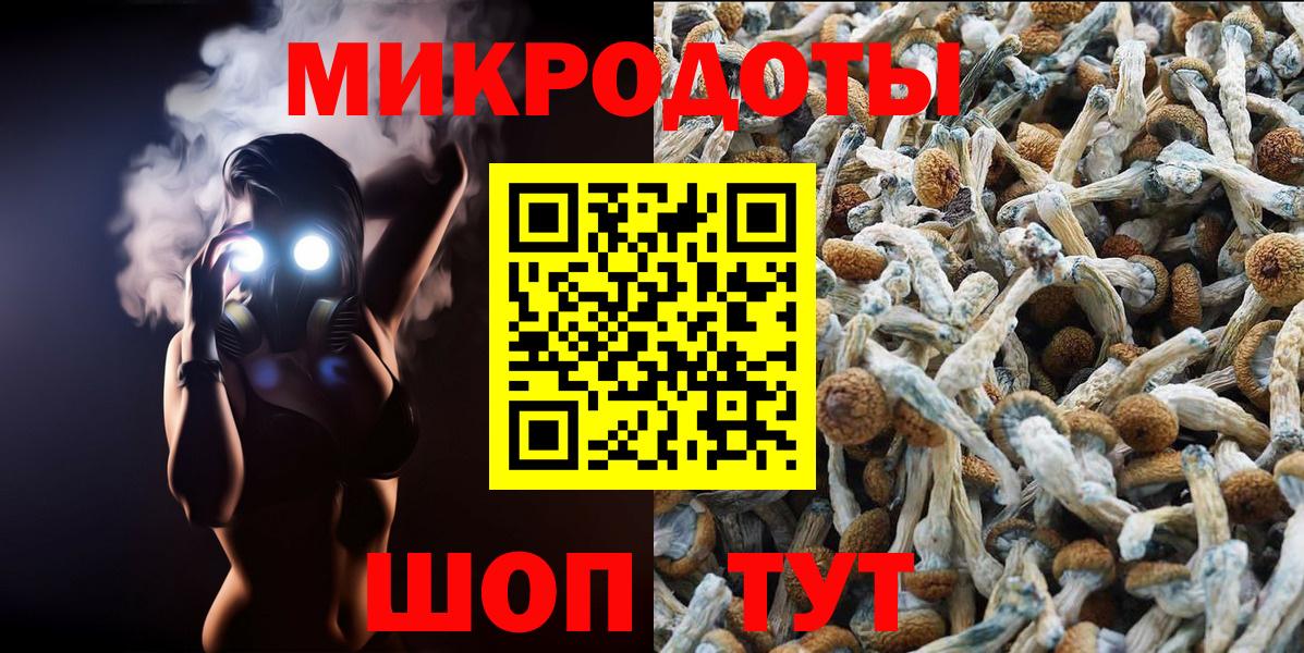 Псилоцибиновые грибы GOLDEN TEACHER  Вход с VPN  Галлюциногенные грибы Cubensis  Лыткарино 
